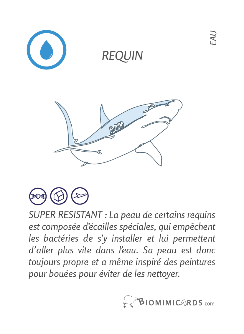 Biomimicards - Jeu collaboratif
