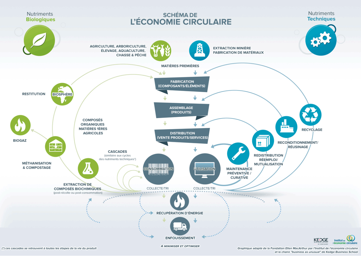 Schéma de l'économie circulaire en forme de papillon : boucles des nutriments biologiques à gauche et des nutriments techniques à droite