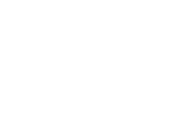 Vinci